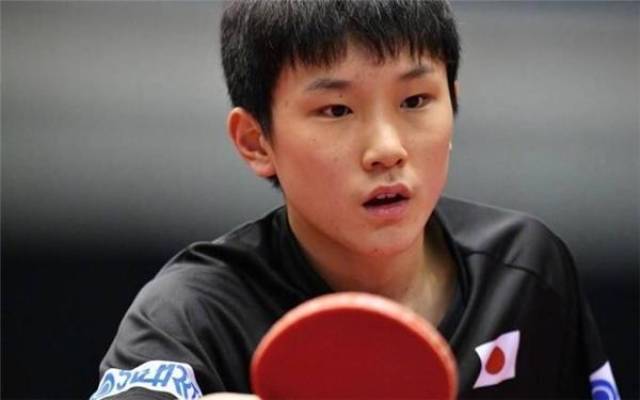 变葡萄牙体 变葡萄牙体